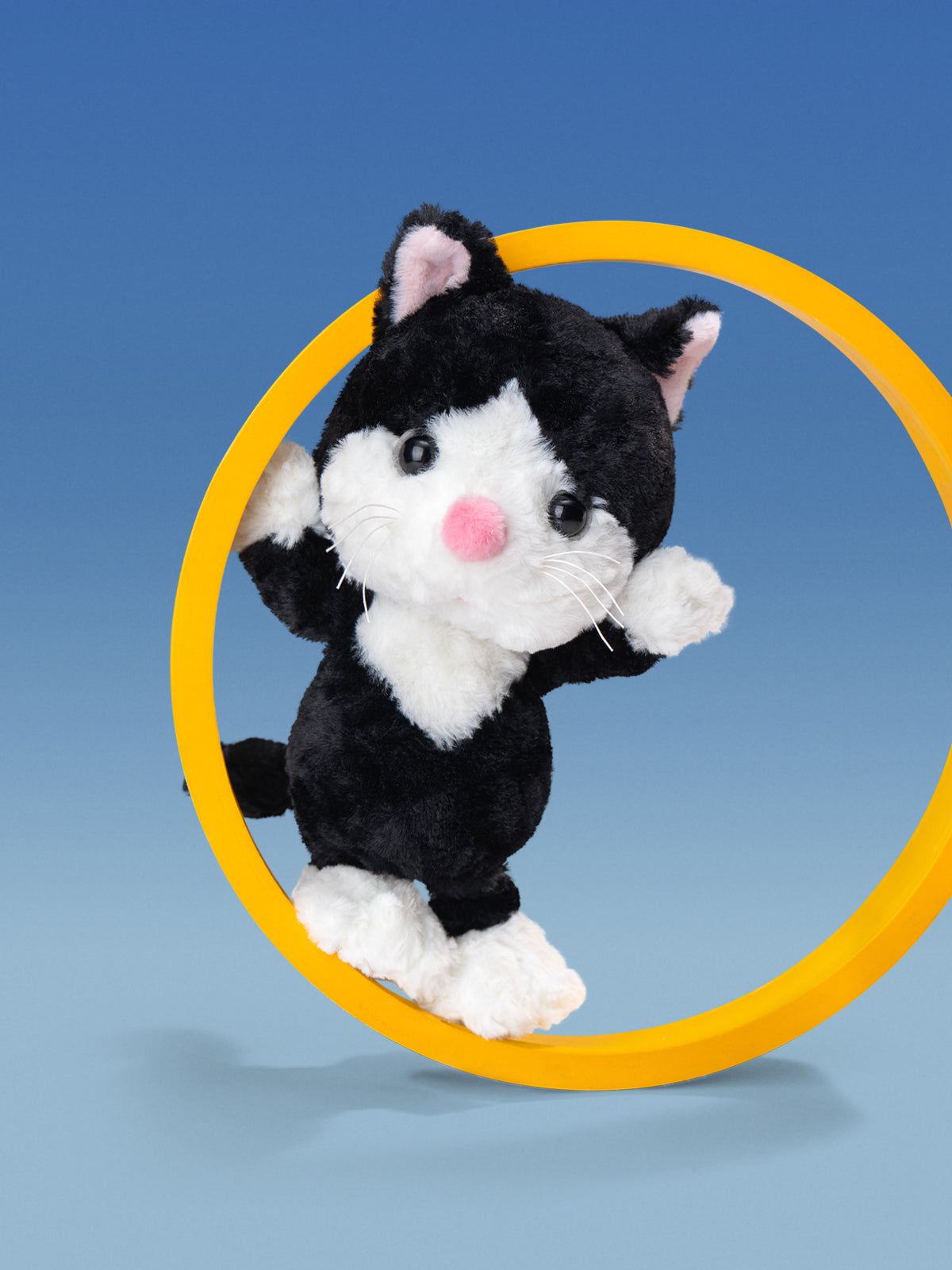 Tuxedo Cat