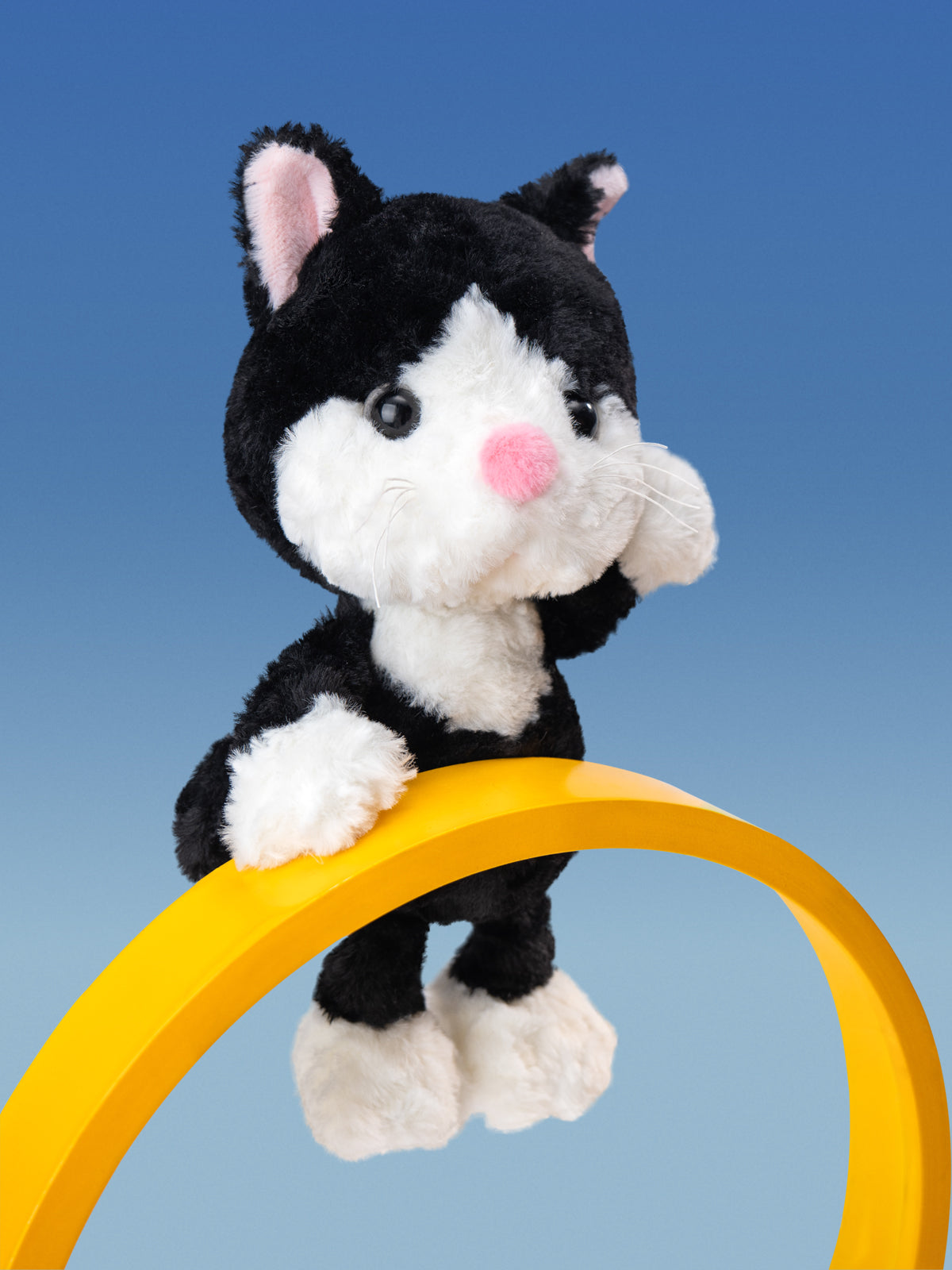 Tuxedo Cat