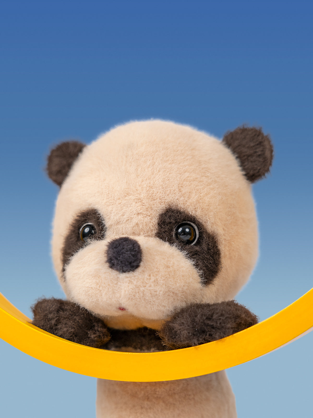 Coco Panda