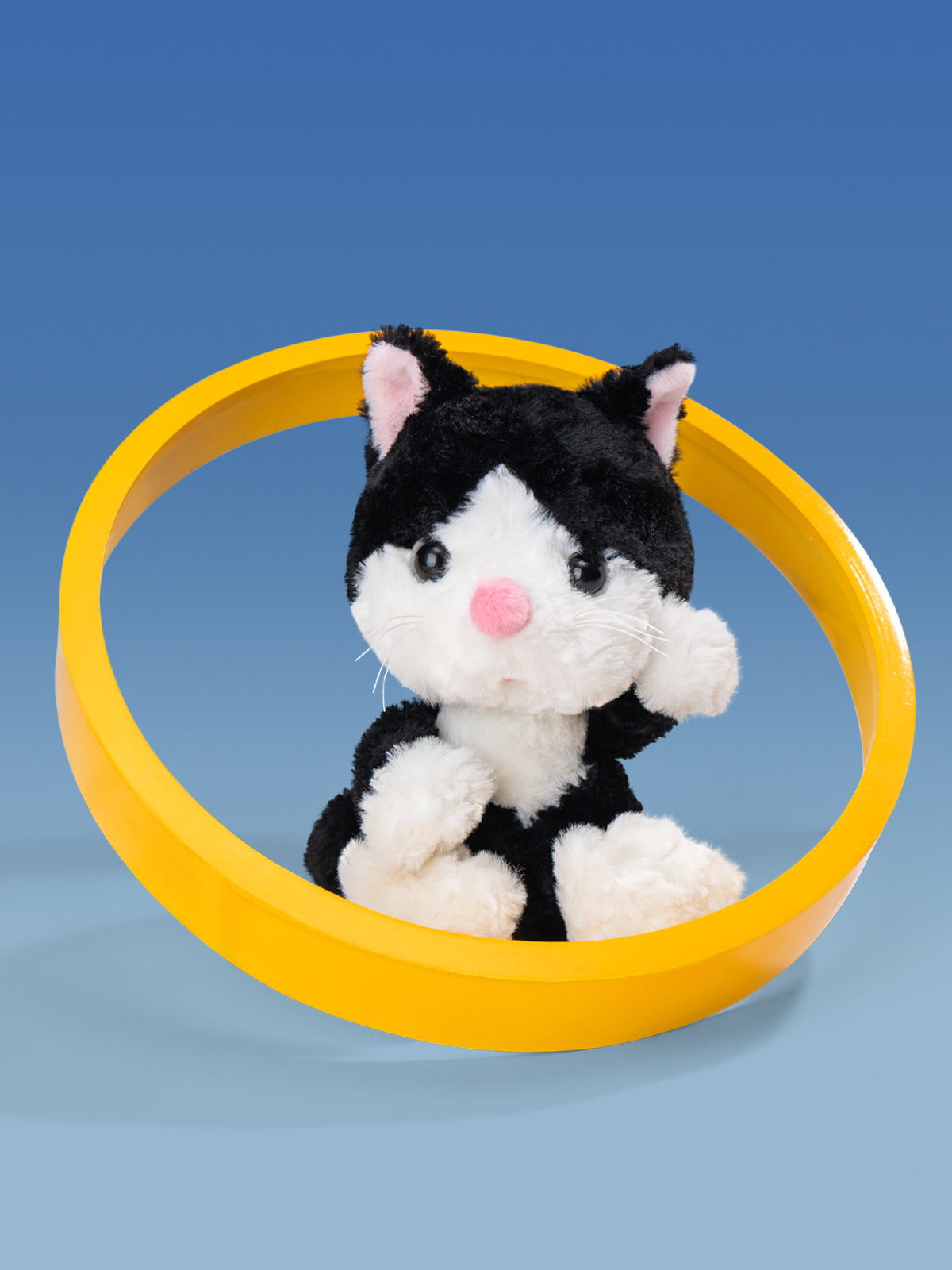 Tuxedo Cat