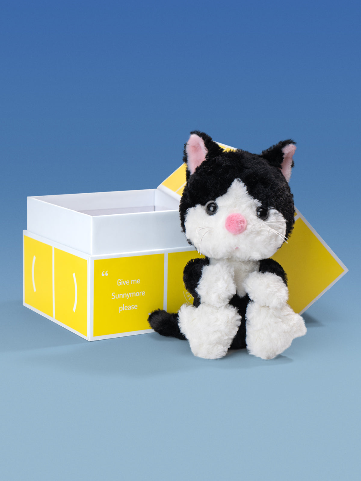 Tuxedo Cat