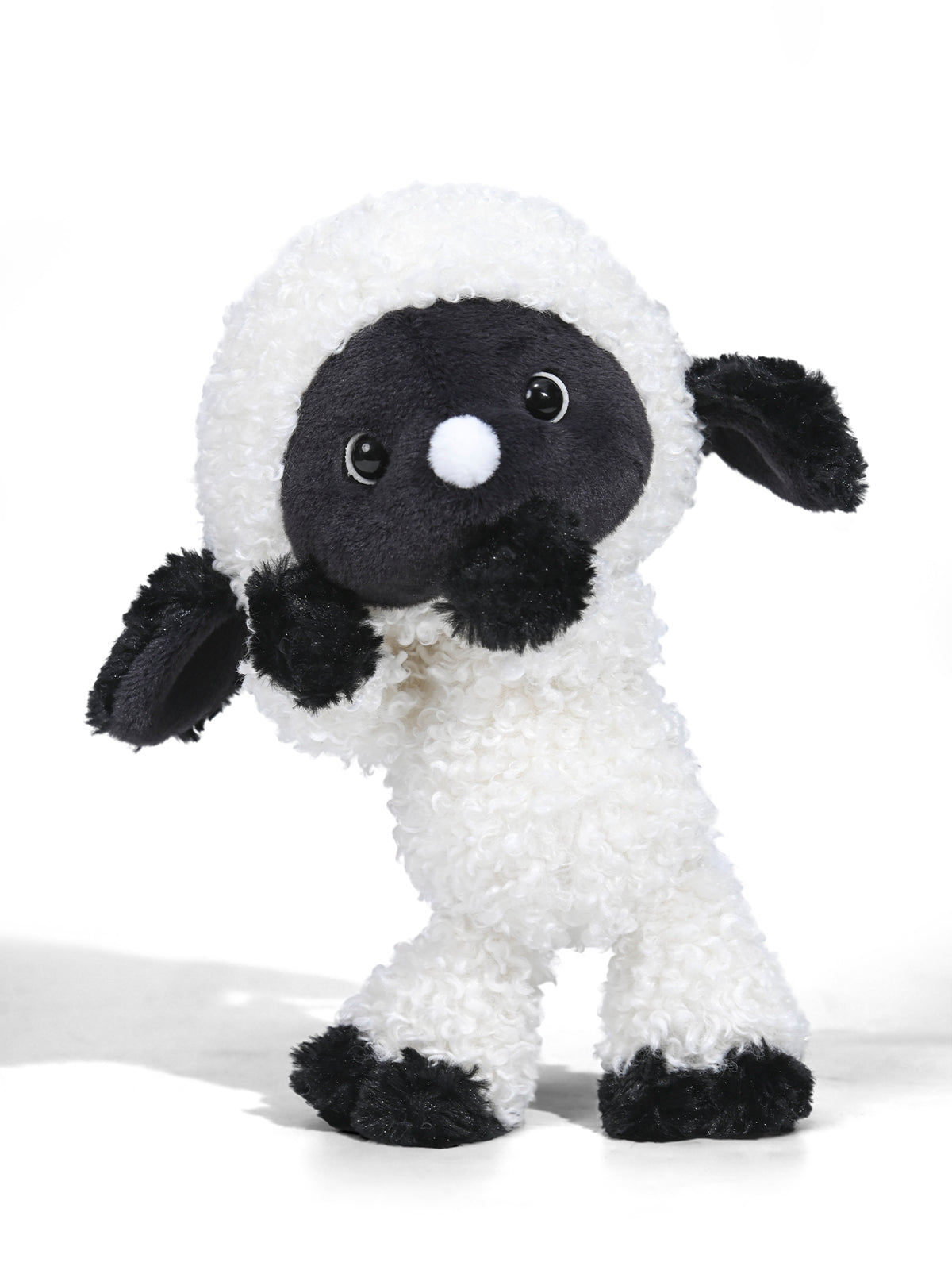 Scottie the Sheep
