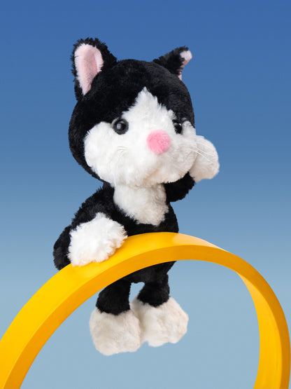 Tuxedo Cat