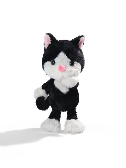 Tuxedo Cat