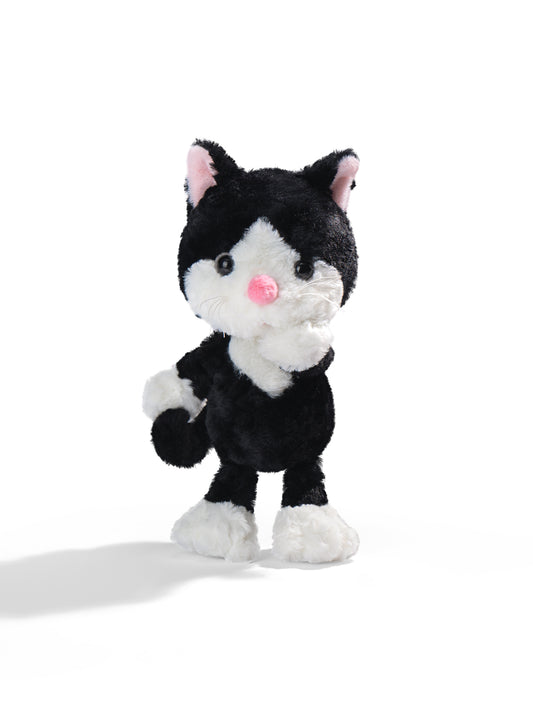 Tuxedo Cat